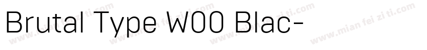 Brutal Type W00 Blac字体转换
